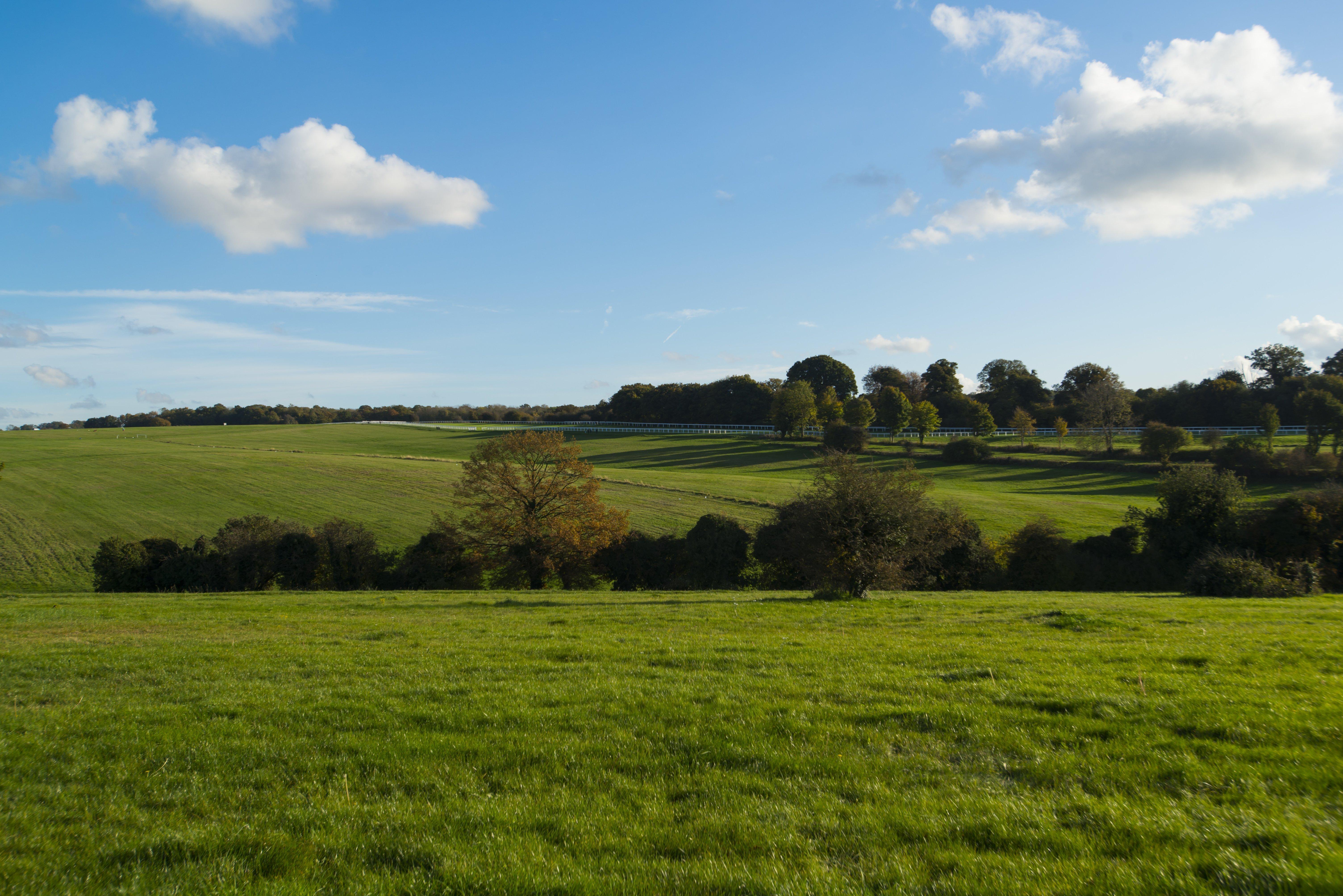 Holiday Inn Express London - Epsom Downs By Ihg Bagian luar foto